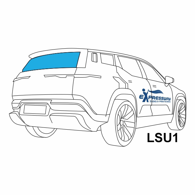 LSU1