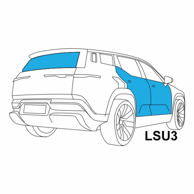 LSU3