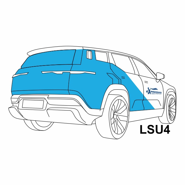 LSU4