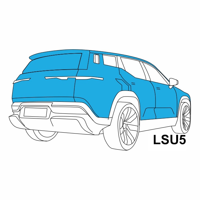 LSU5