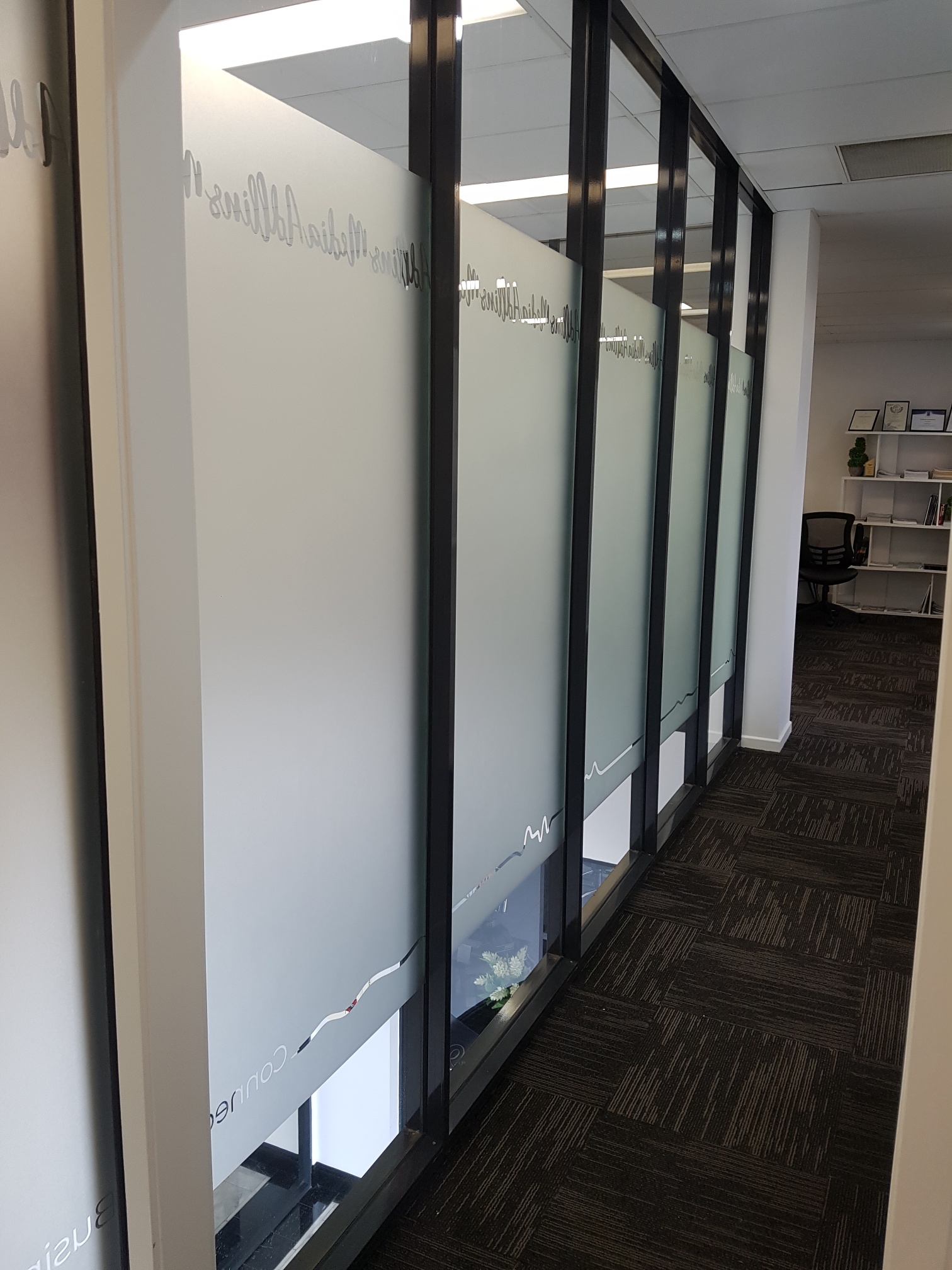 Frosted Privacy Film_09